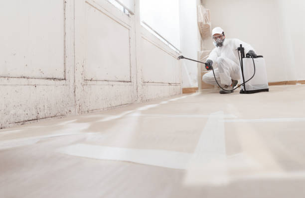 24/7 Emergency Black Mold Remediation experts in Henrico, NC