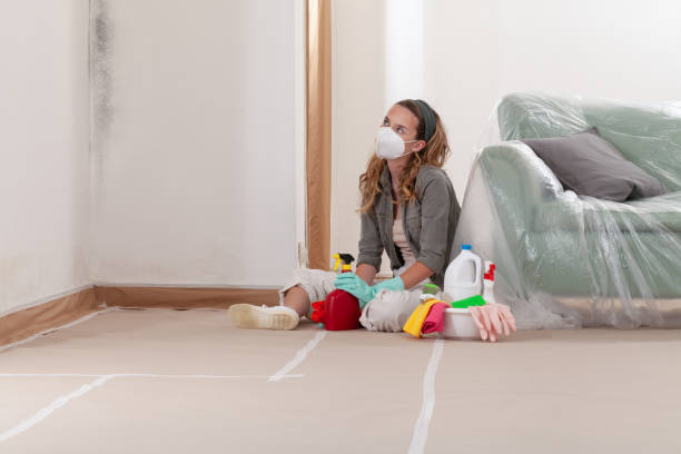 Reliable Black Mold Remediation contractor in Henrico, NC by 24 Hour Mold Removal
